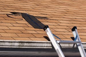 Damaged shingles on a roof in need of roof repair