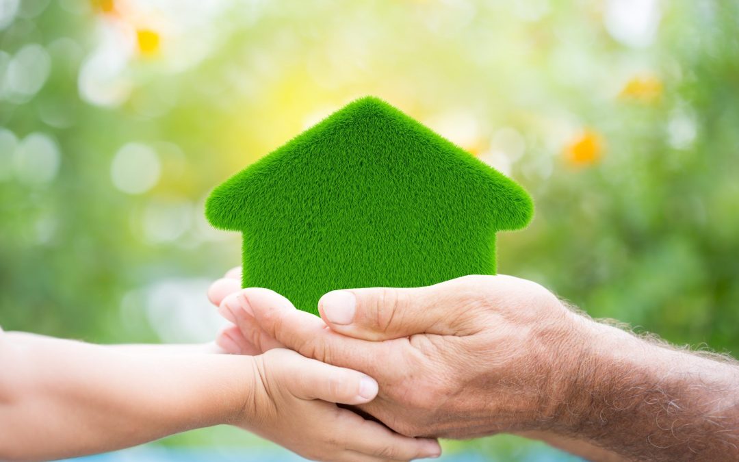 Make Your Roof More Eco-Friendly