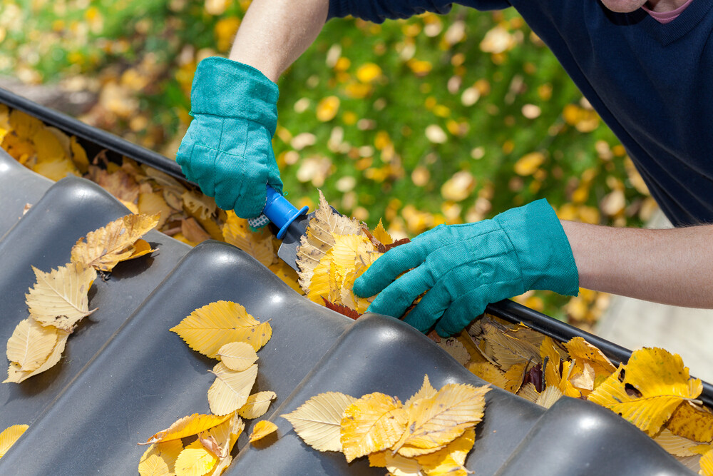 A man taking leaves out of gutters